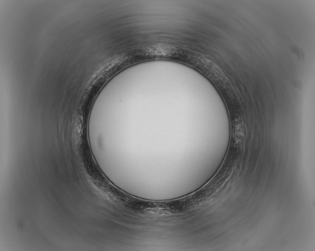 X0000112960544200909171300