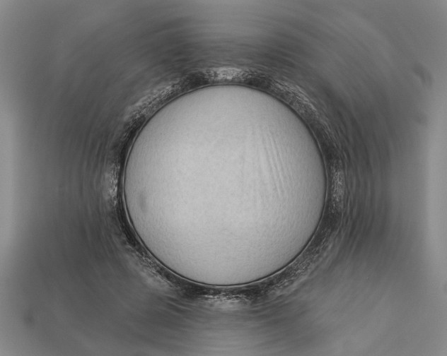 X0000112960545200909171300