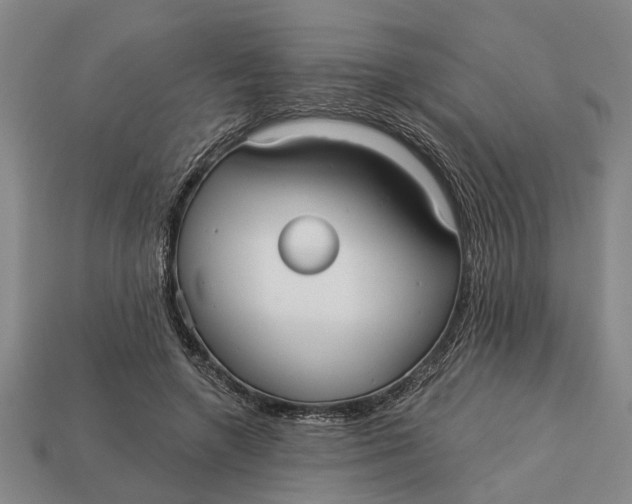 X0000112960546200909171300