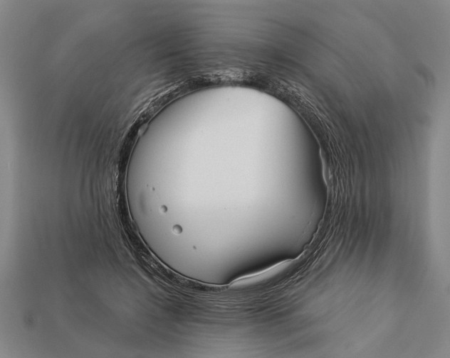 X0000112960548200909171300