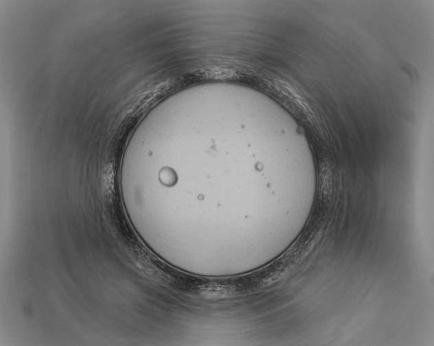 X0000112960549200909171300