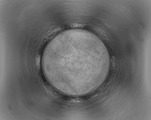 X0000112960550200909171300