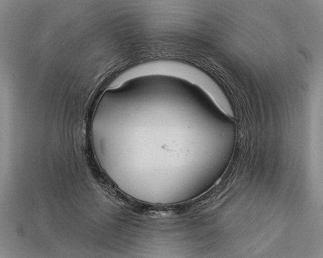 X0000112960552200909171300