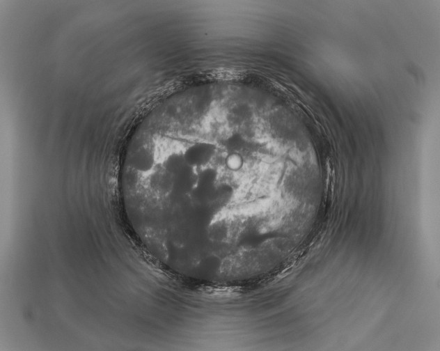 X0000112960553200909171300