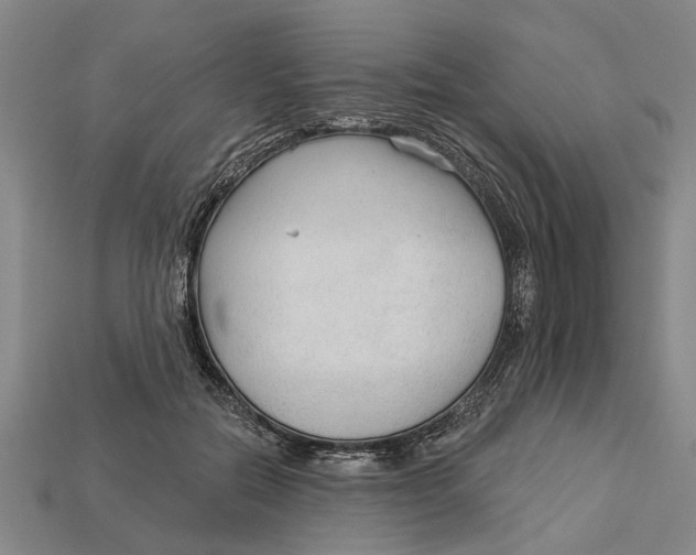 X0000112960554200909171300