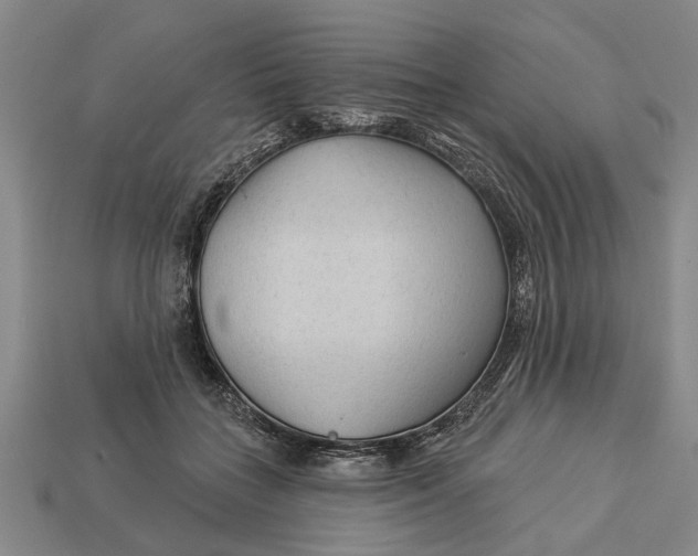 X0000112960555200909171300