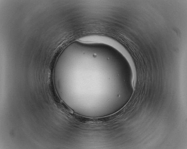 X0000112960556200909171300