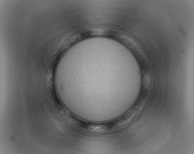 X0000112960557200909171300