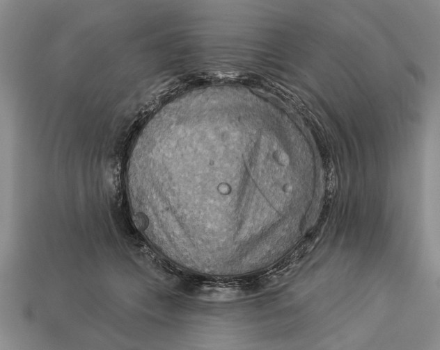 X0000112960559200909171300