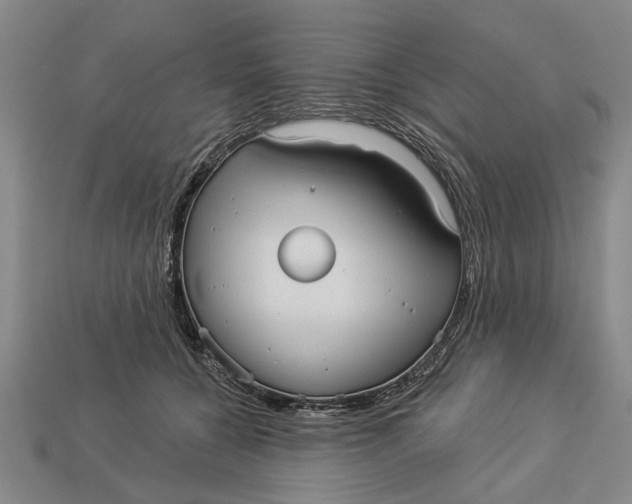 X0000112960560200909171300