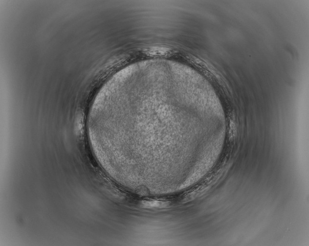 X0000112960561200909171300