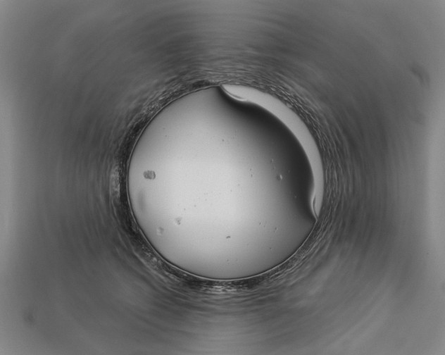 X0000112960562200909171300