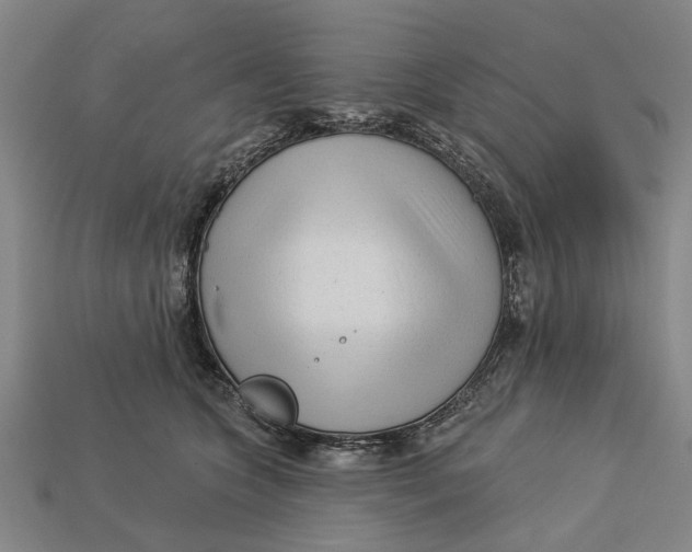 X0000112960563200909171300