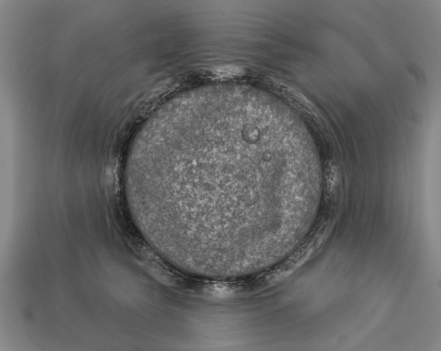 X0000112960565200909171300