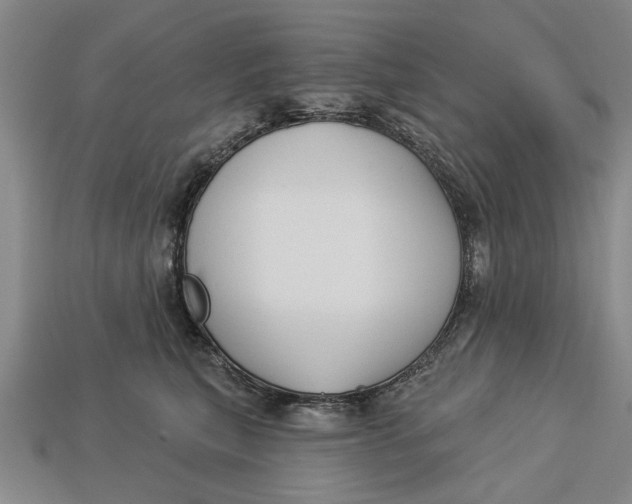 X0000112960567200909171300