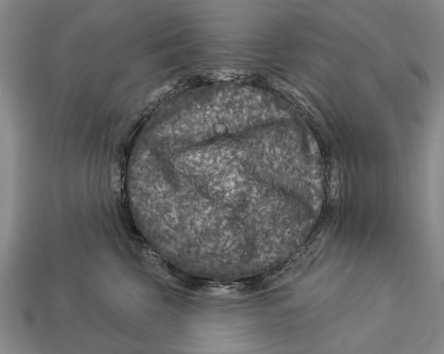 X0000112960569200909171300