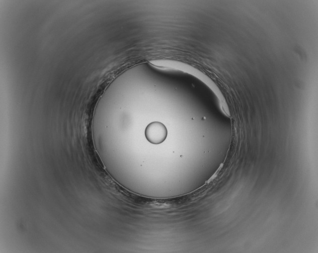 X0000112960570200909171300