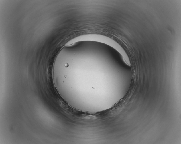 X0000112960572200909171300