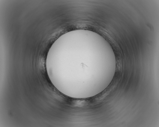 X0000112960575200909171300