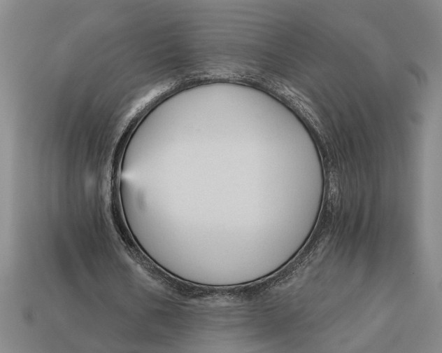 X0000112960578200909171259