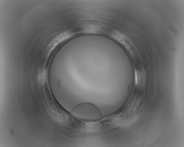 X0000112960579200909171259