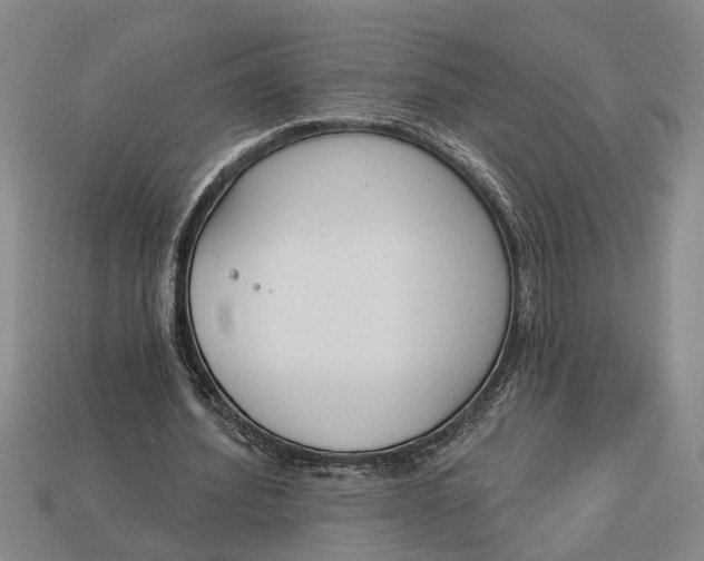 X0000112960580200909171259