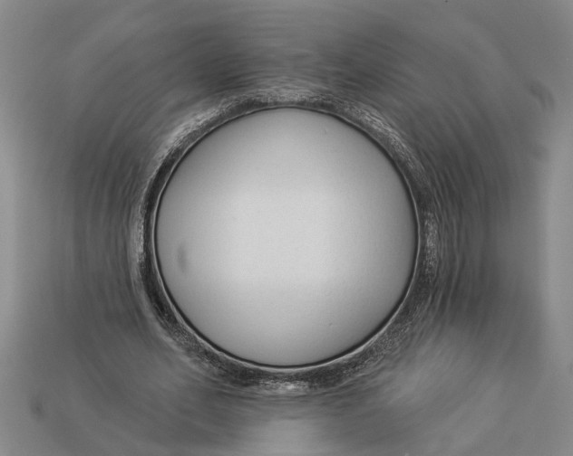 X0000112960582200909171259