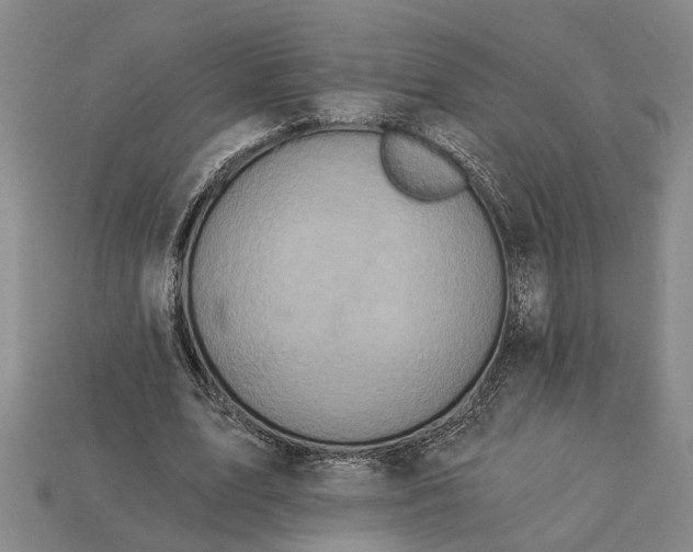 X0000112960583200909171259