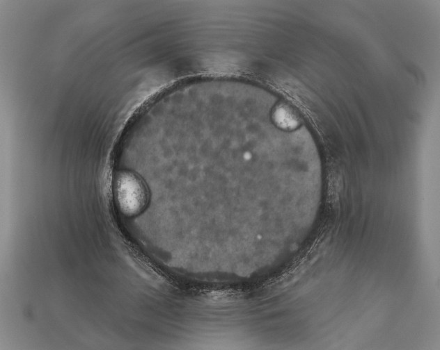 X0000112960584200909171259