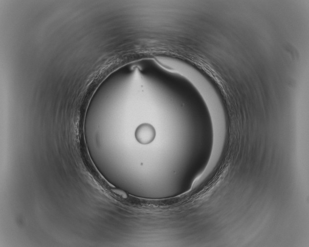 X0000112960585200909171259