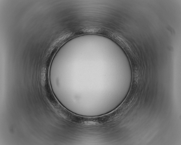 X0000112960586200909171259