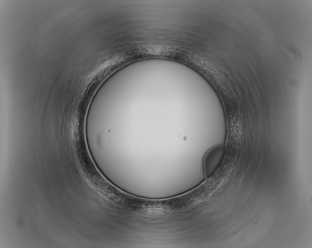 X0000112960587200909171259