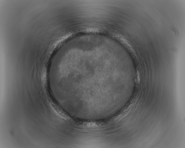 X0000112960588200909171259