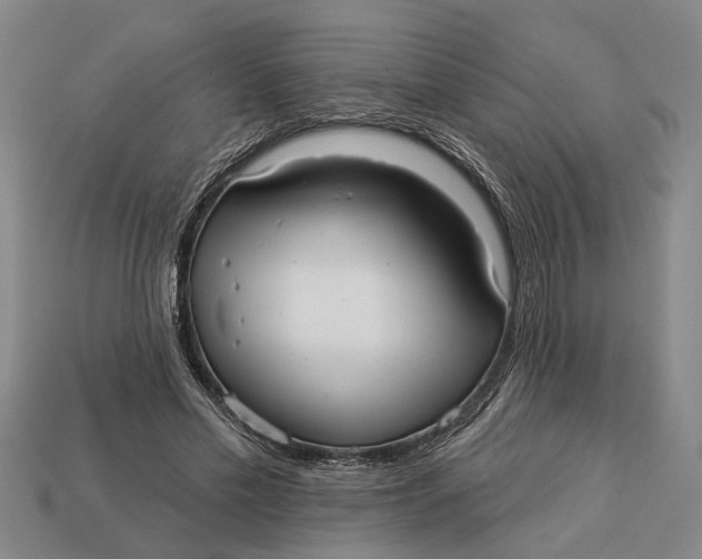 X0000112960589200909171259