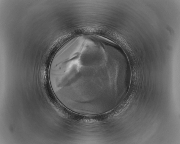 X0000112960590200909171259