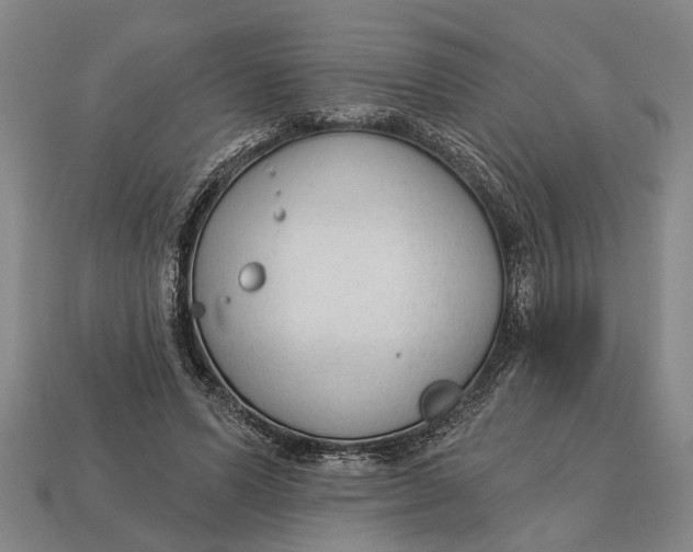 X0000112960591200909171259