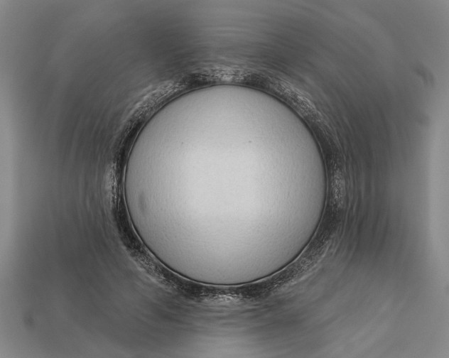 X0000112960594200909171259