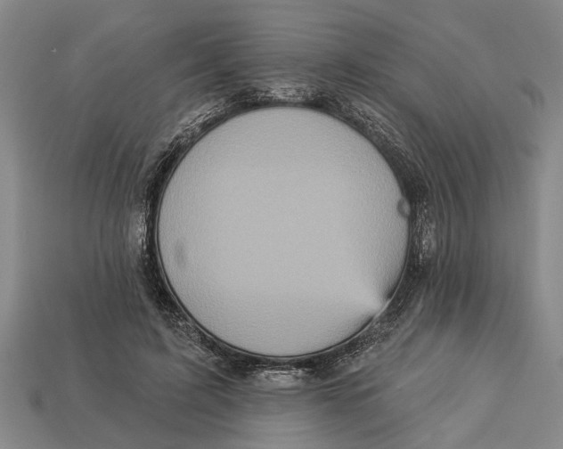 X0000112960595200909171259