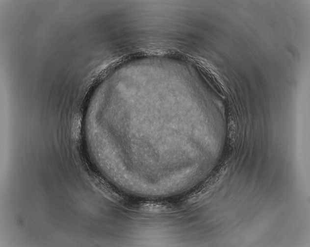 X0000112960596200909171259