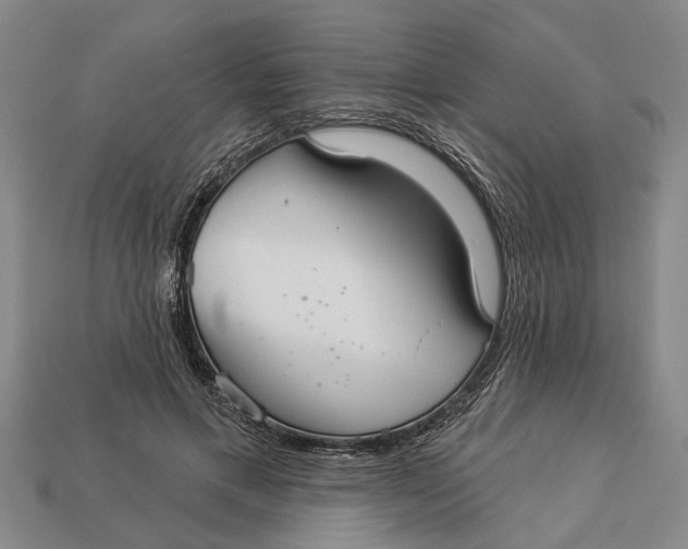 X0000112960597200909171259