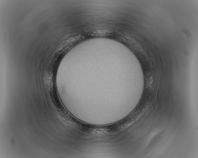 X0000112960599200909171259