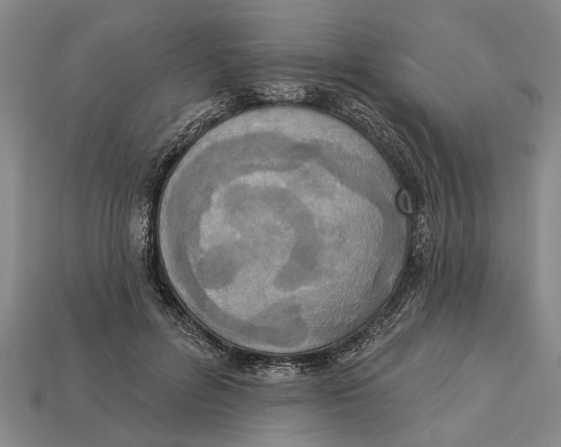 X0000112960600200909171259