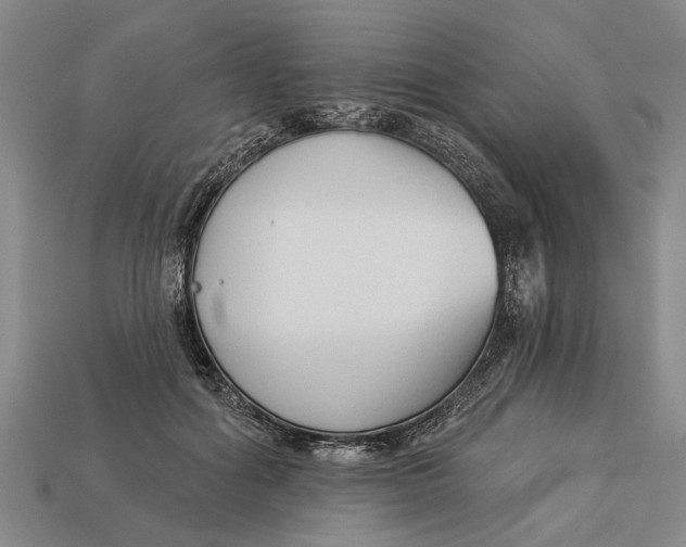 X0000112960602200909171259