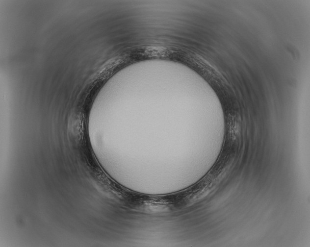 X0000112960603200909171259