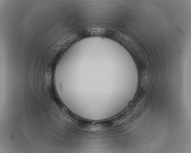 X0000112960604200909171259