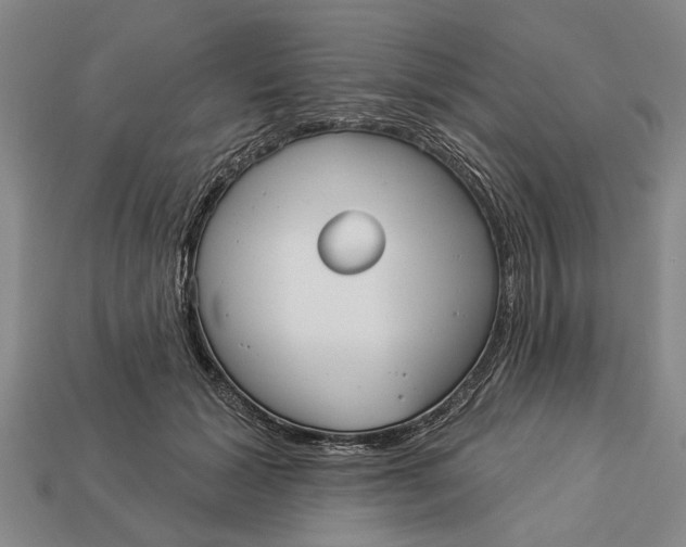 X0000112960605200909171259