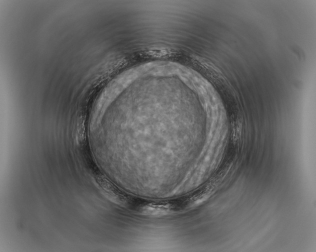 X0000112960606200909171259