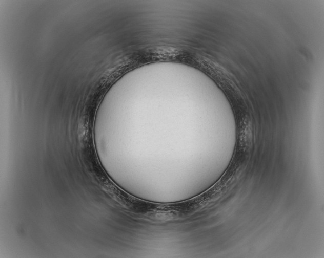 X0000112960608200909171259