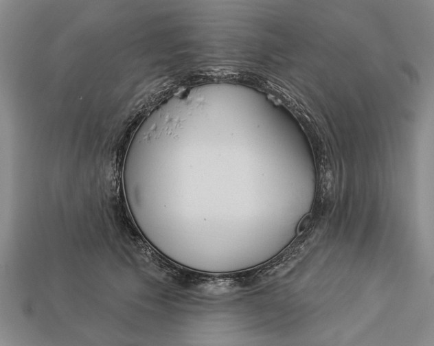 X0000112960609200909171259