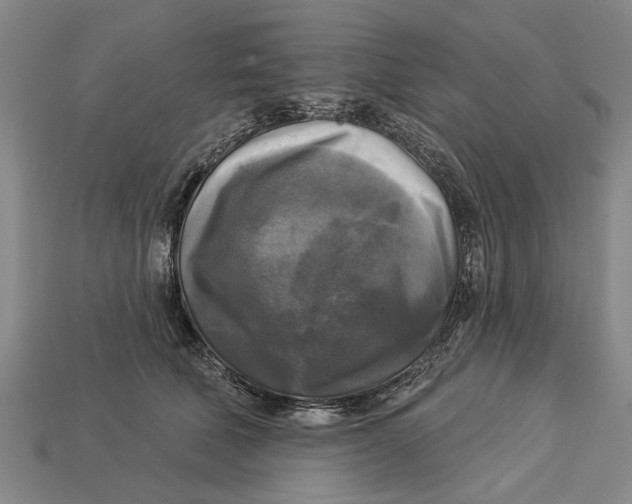 X0000112960610200909171259